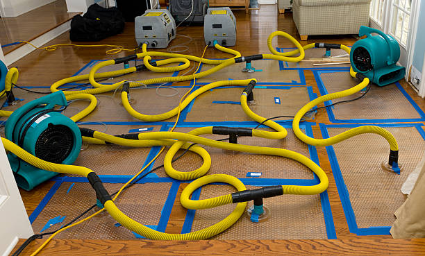 Professional Water Damage Repair technician working in Mountain, WI